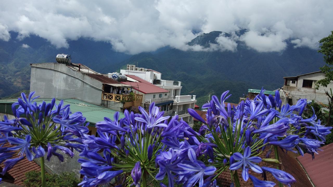 Nguyen Dang Guesthouse Шапа Экстерьер фото